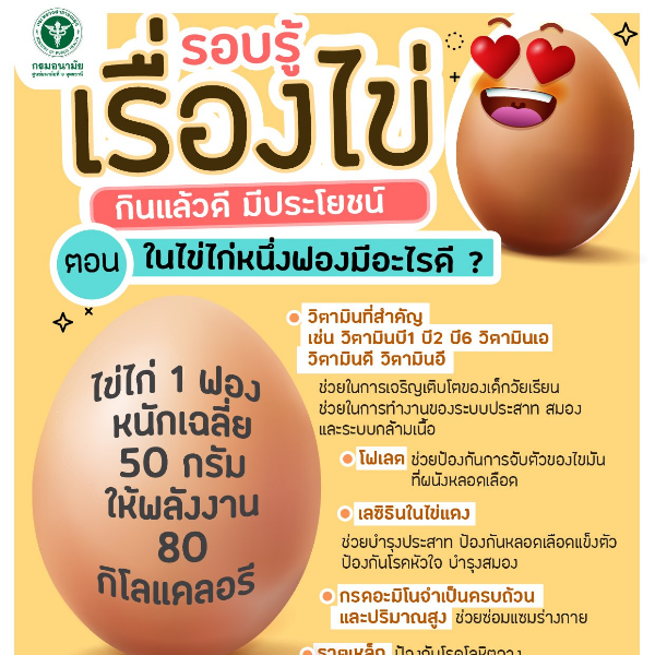 รอบรู้เรื่องไข่